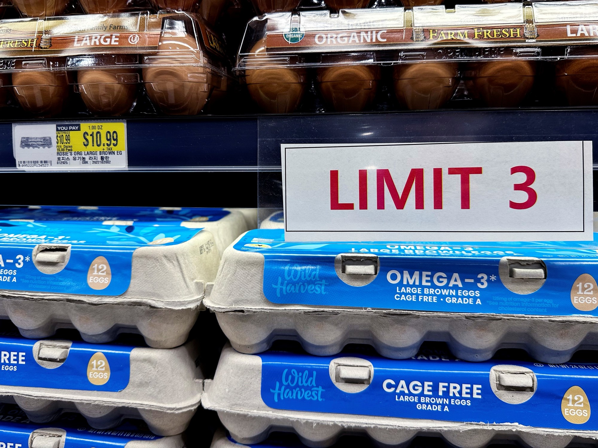 Argentina propone solución a la crisis de huevos por gripe aviar en Nueva York.