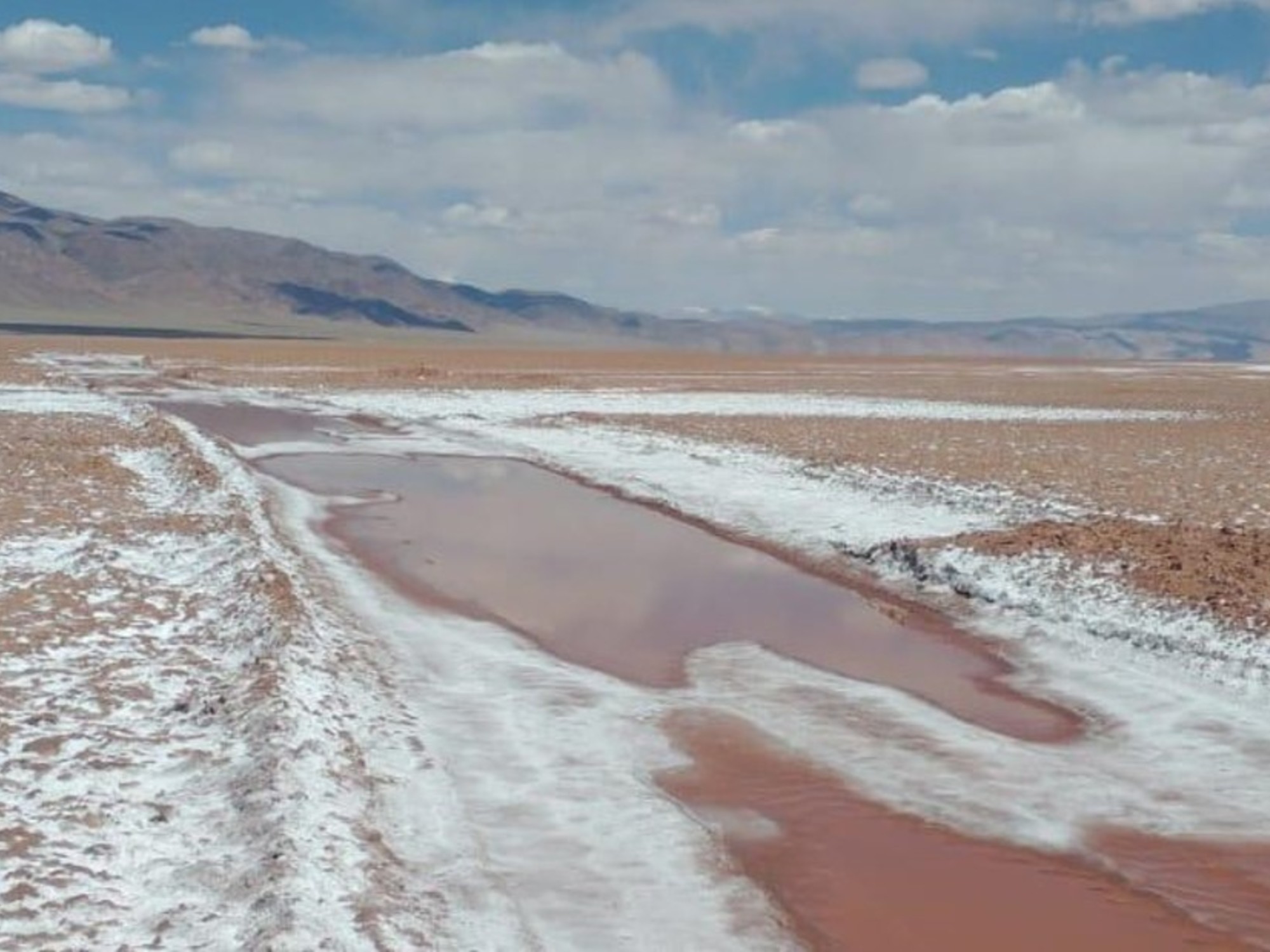 Gigante canadiense adquiere proyecto de litio en Salta y despierta interés del Gobierno