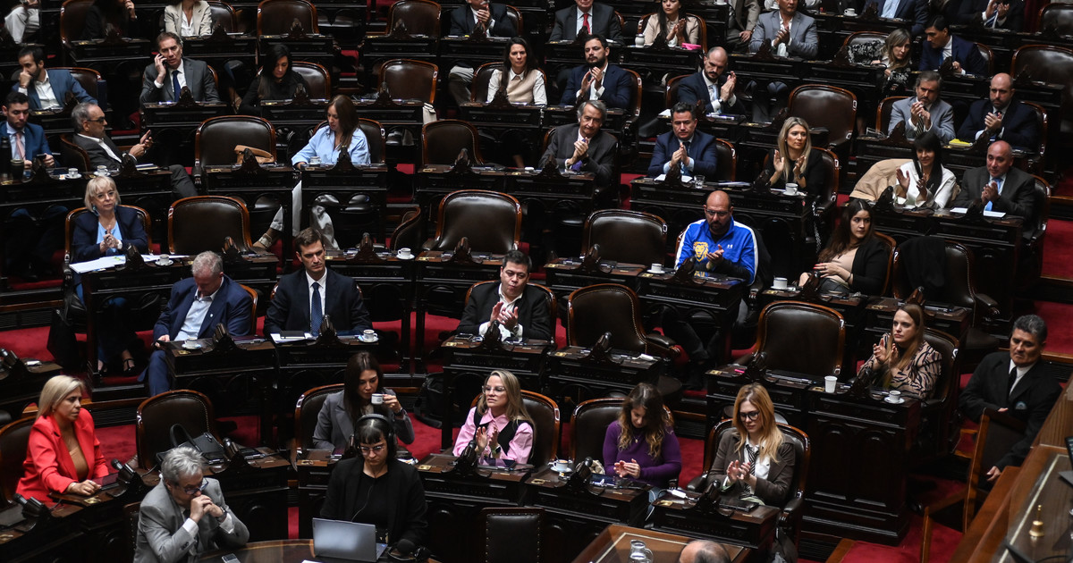 Diputados hará un homenaje al Papa Francisco en pleno duelo nacional por su muerte