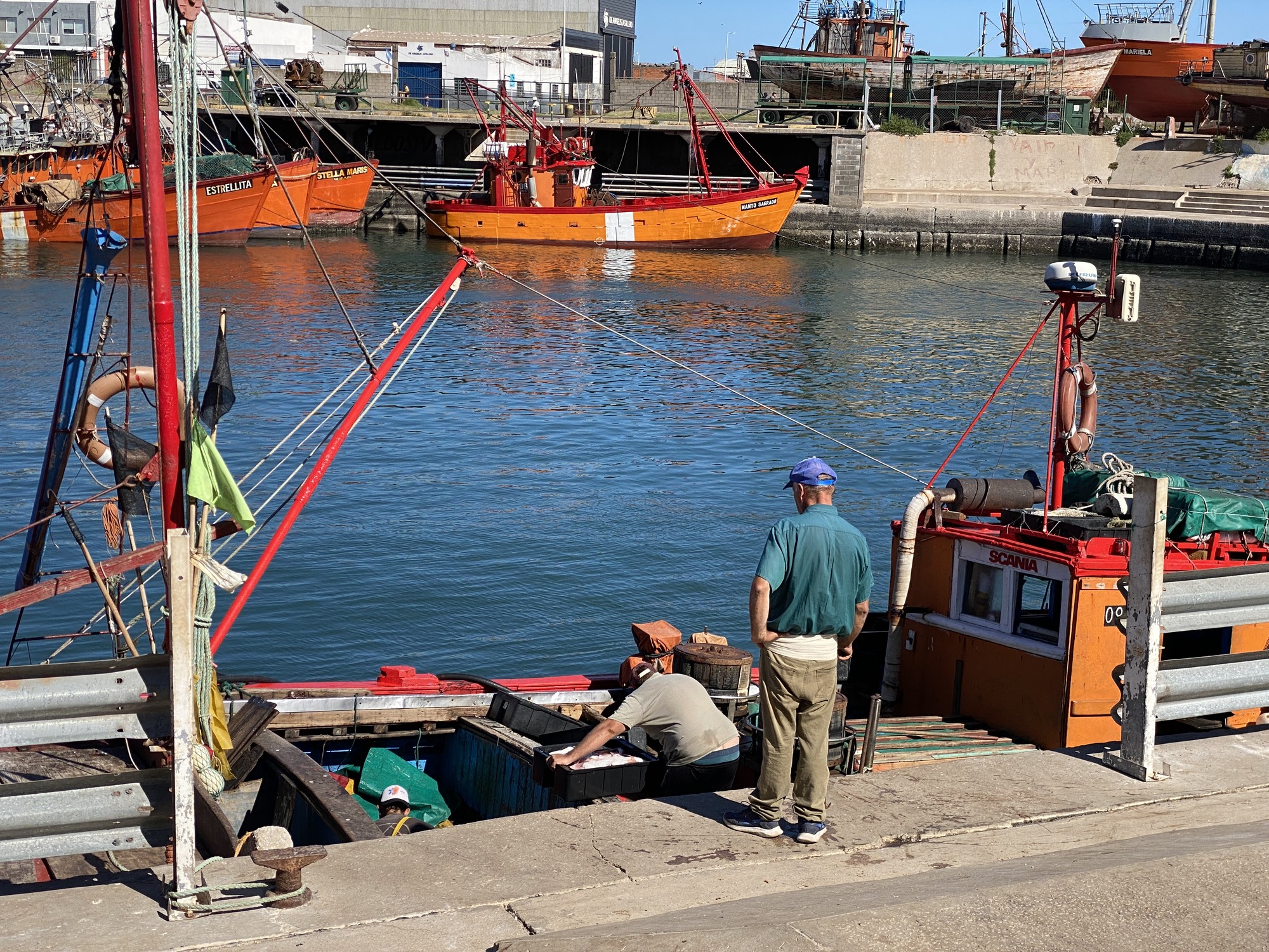 Pérdidas millonarias en la pesca: crisis en el sector pesquero.