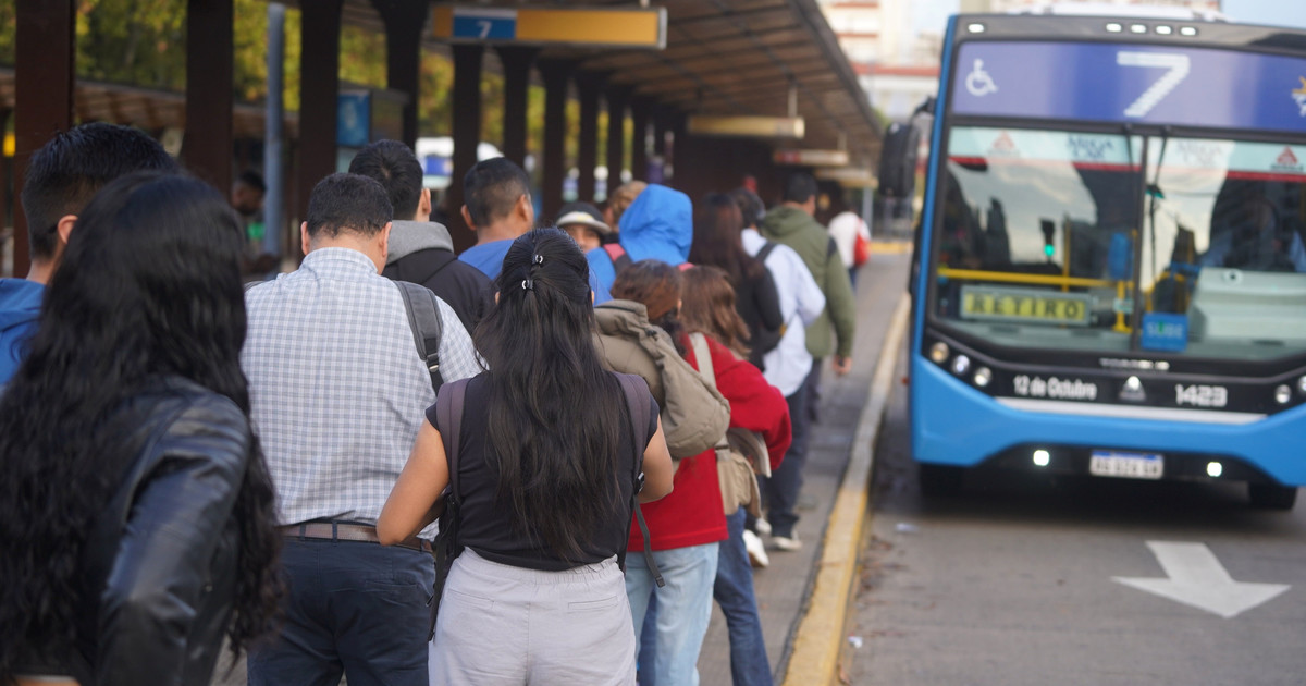 el nuevo truco para viajar gratis hasta 6 veces por día y cómo aprovecharlo