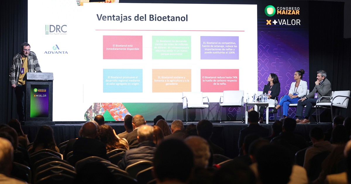 Por qué el bioetanol crece en el mundo pero en Argentina sigue estancado