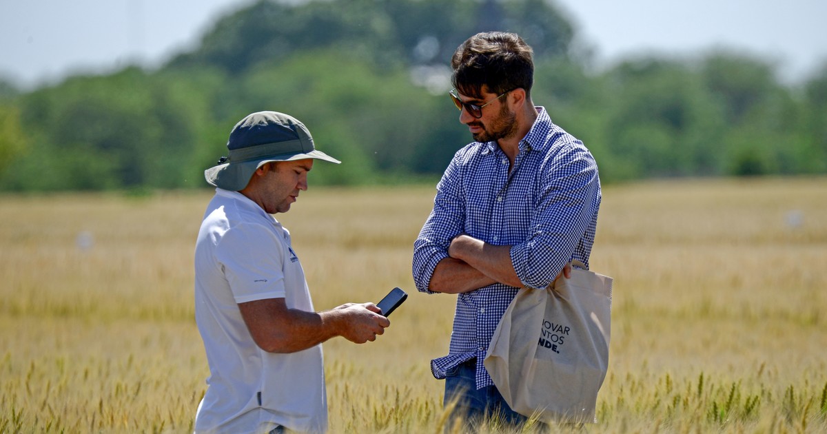 un semillero realizó una jornada para encarar la campaña de trigo con información clave
