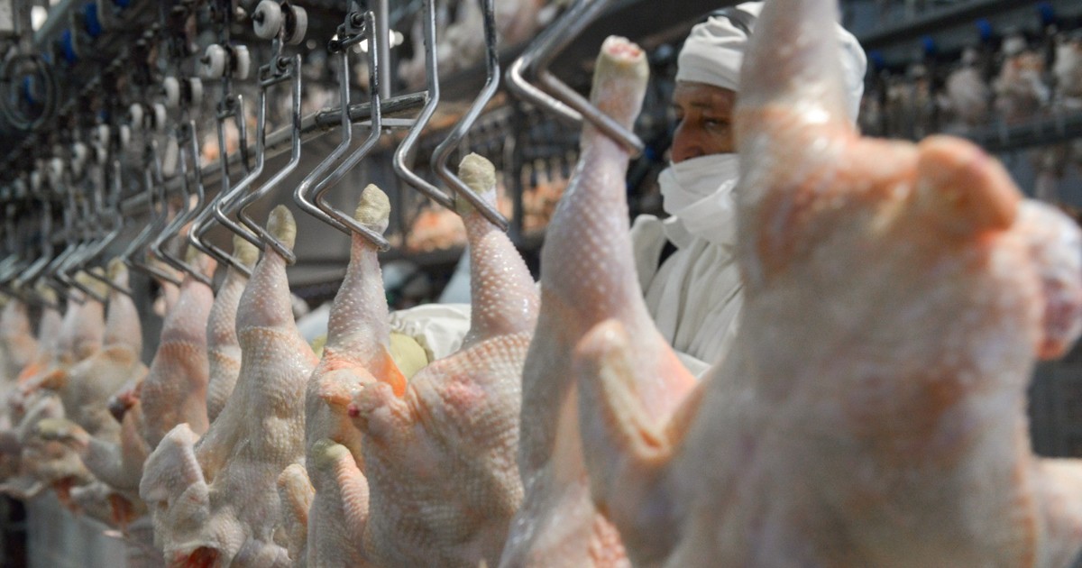 Se reabrió el mercado de Japón para carne aviar y ovoproductos argentinos