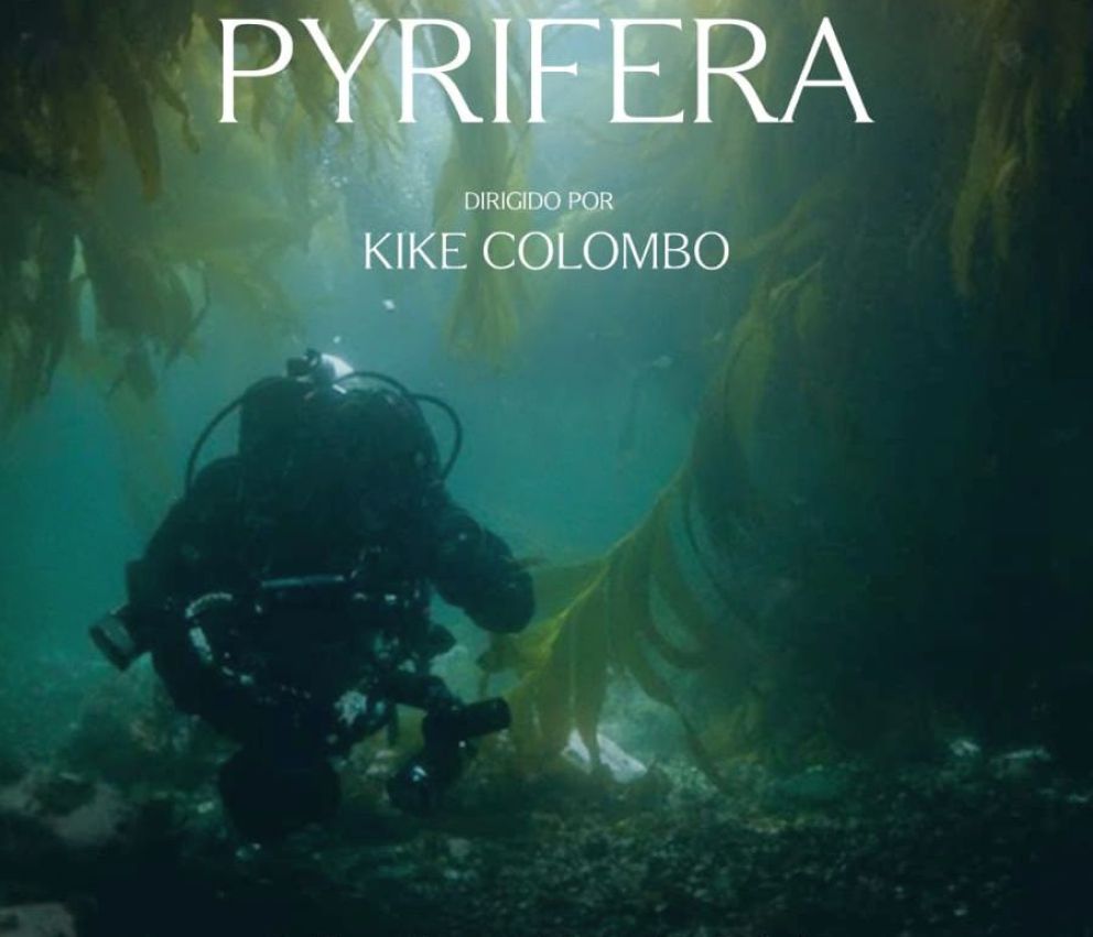 Corto Rodado: Presentan en Comodoro Rivadavia un film que promueve el Parque Marino Monte León