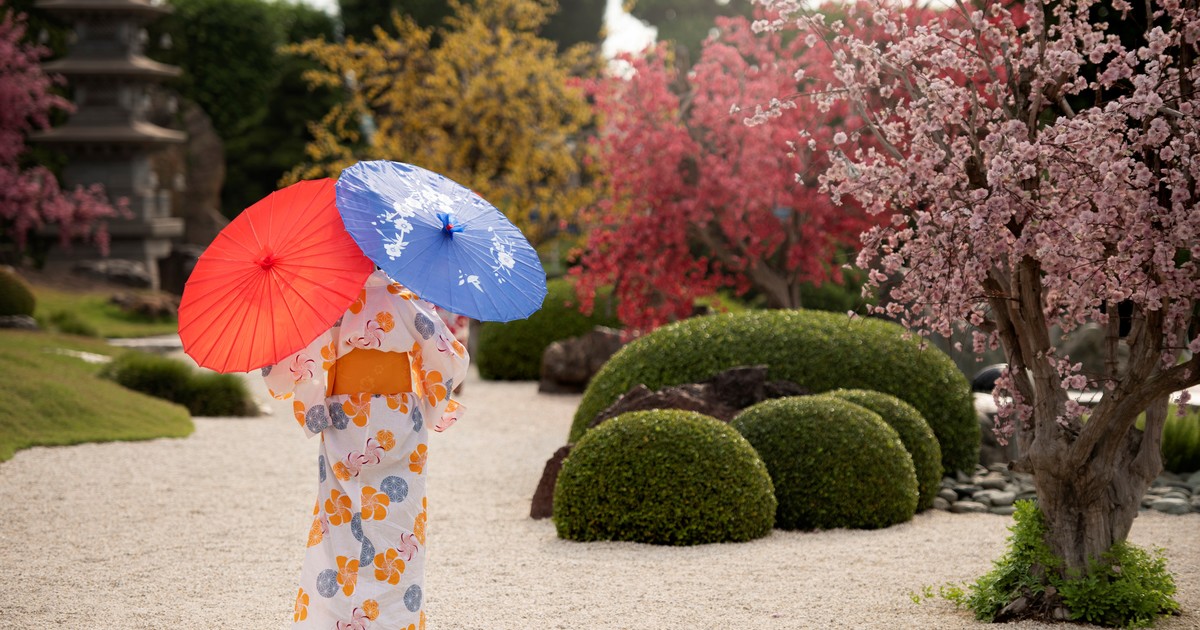 las 3 flores japonesas que tenés que plantar en otoño