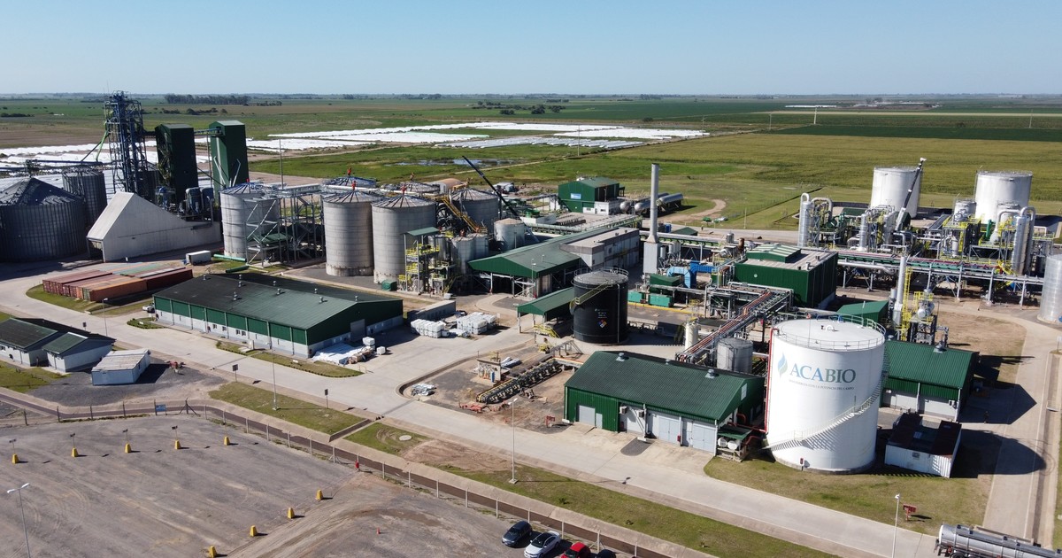 Estados Unidos y Brasil coinciden en la apuesta por los biocombustibles