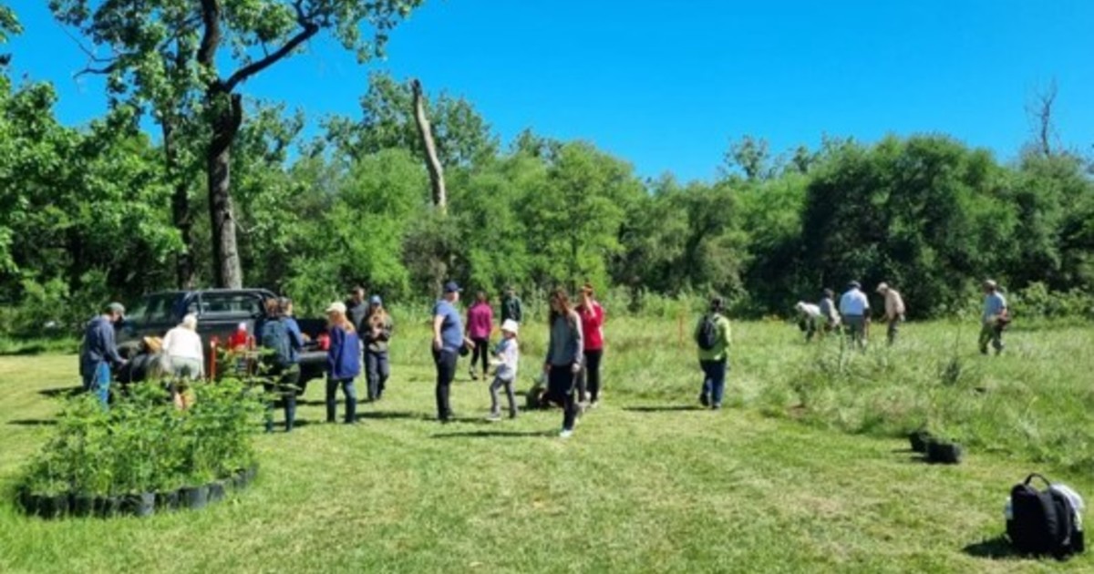 cómo es el proyecto que busca construir una ruta verde