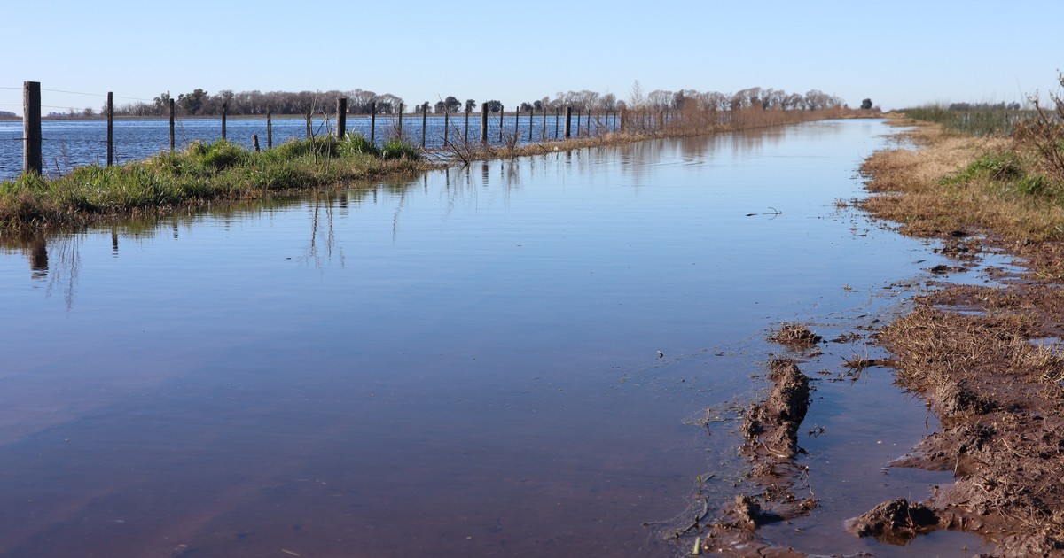 un frente de tormenta dejó acumulados muy importantes e impactan en una de las principales zonas de la provincia de Buenos Aires