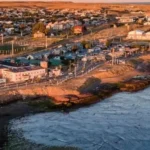 Preocupación en Puerto Deseado por matanza indiscriminada de perros