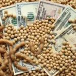 Menos retenciones, más dólares: el campo calmó al mercado