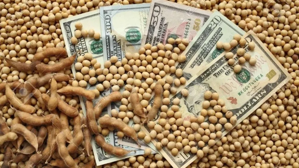 Menos retenciones, más dólares: el campo calmó al mercado