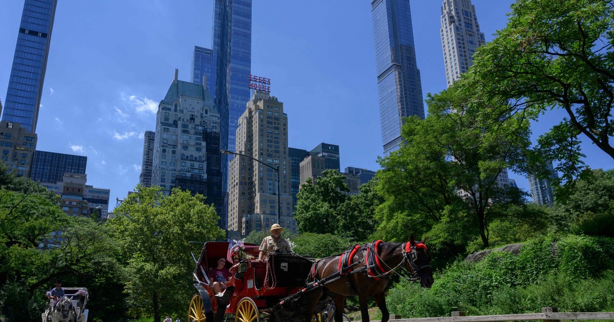 Tras 150 años de tradición, ¿fin de los carruajes a caballo en Central Park?