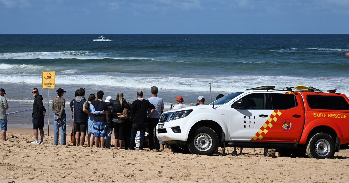 un tiburón "gigante" mató a un surfista en Sidney