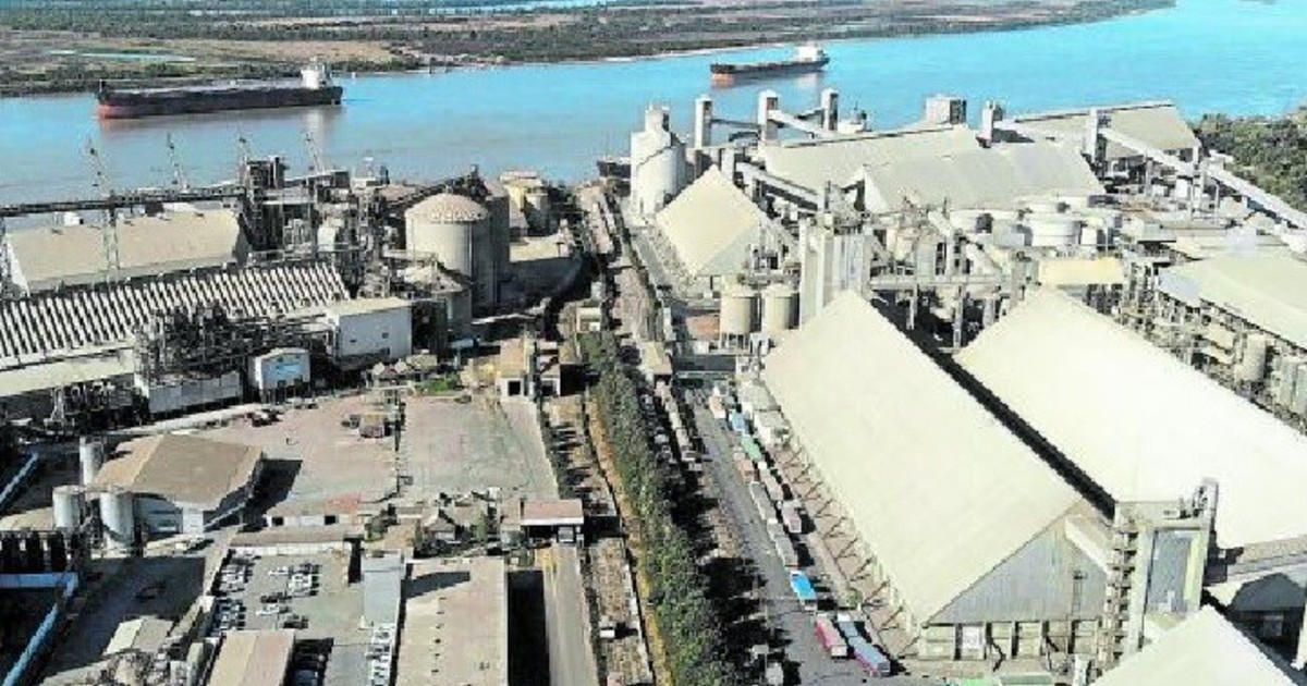 Grassi logró el aval de los acreedores para quedarse con la agroexportadora