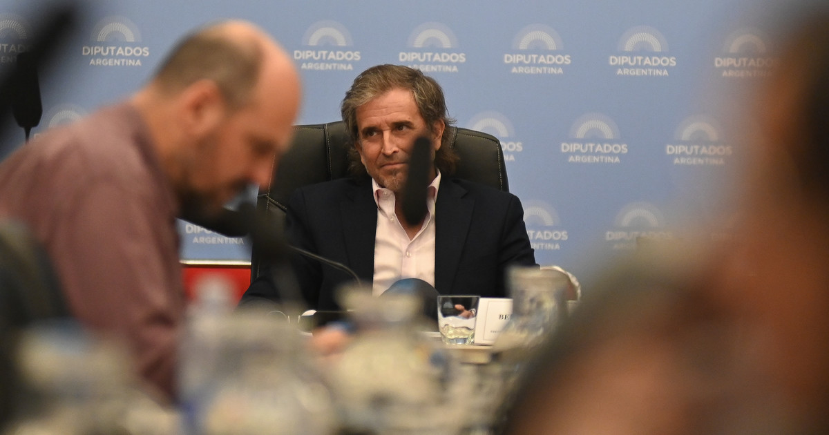 Diputados debaten en comisión el Presupuesto 2026 y la oposición busca avanzar en el caso $LIBRA