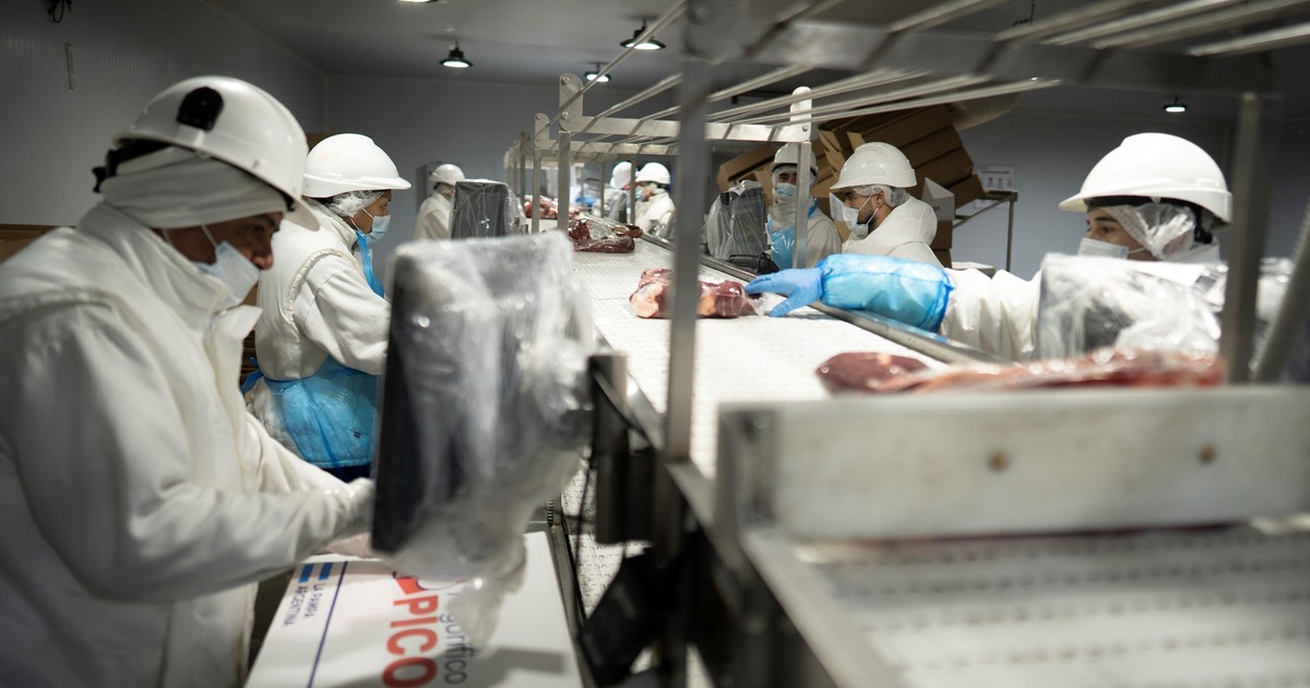 las diez claves del proyecto que impulsa Javier Milei