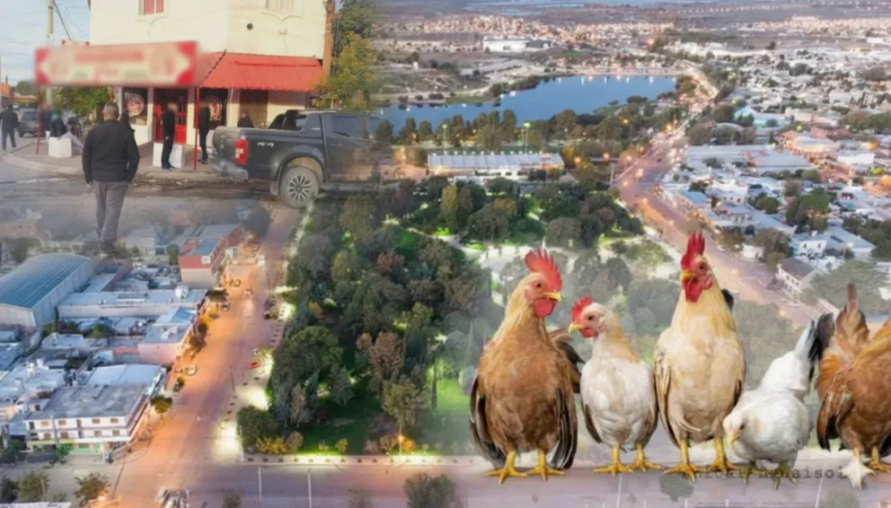 “Pollos de Papel”: exfuncionarios de Maderna comparecerán ante la Justicia