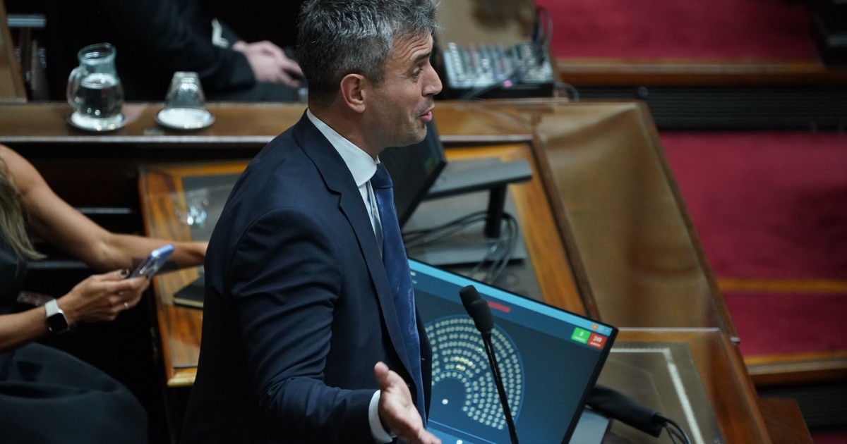 Tras mantenerlo frenado en Diputados, Menem mandó la ley de DNU y el Senado insistirá con la media sanción