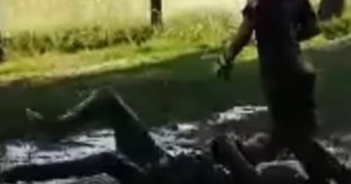 El oro y el barro: el video retro del arquero de la Selección Sub 20 que volvió a ser viral :: Olé