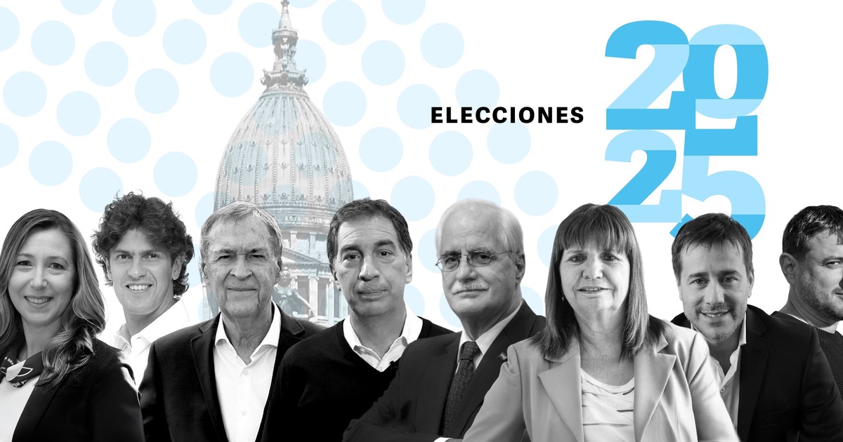qué se vota, los candidatos y las bancas que se renuevan en el Congreso