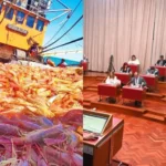 La Legislatura trata una ampliación de los permisos de pesca