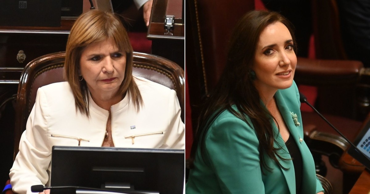 la nueva jefa de LLA en el Senado quiso hablar pero la vicepresidenta se lo negó