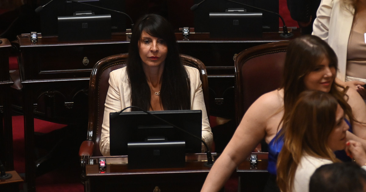 "No me condenen ustedes cuando la justicia no lo hizo", el reclamo de Villaverde en medio del debate sobre si podrá jurar como senadora