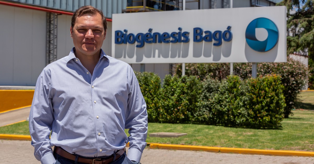 desde Garín a Shangai, la Argentina ya vacuna a casi todo el ganado del mundo