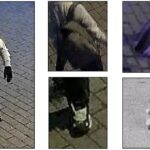 Arrestado sospechoso de colocar bombas en Washington antes del asalto al Capitolio: última información.