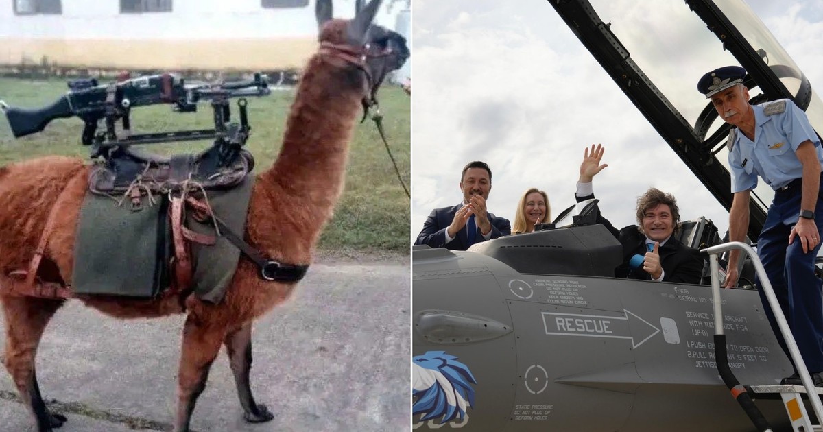 "Pasamos de incorporar llamas metralletas a aviones de combate"