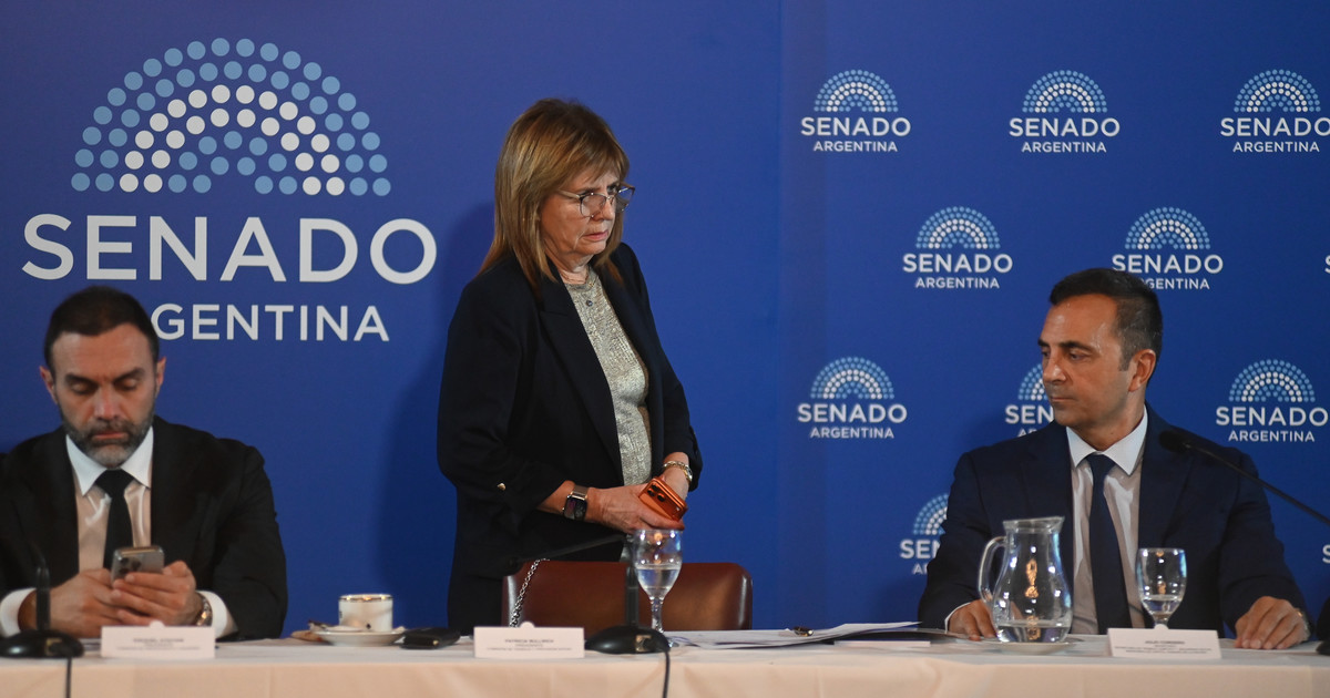 seguí el debate en comisión de Senado por el proyecto que impulsa el Gobierno