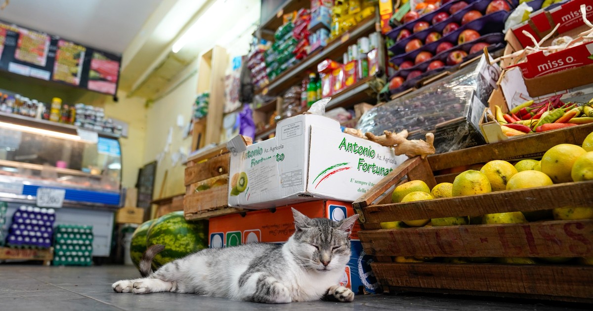 una familia necesitó 1.257.329 pesos en noviembre para no ser pobre