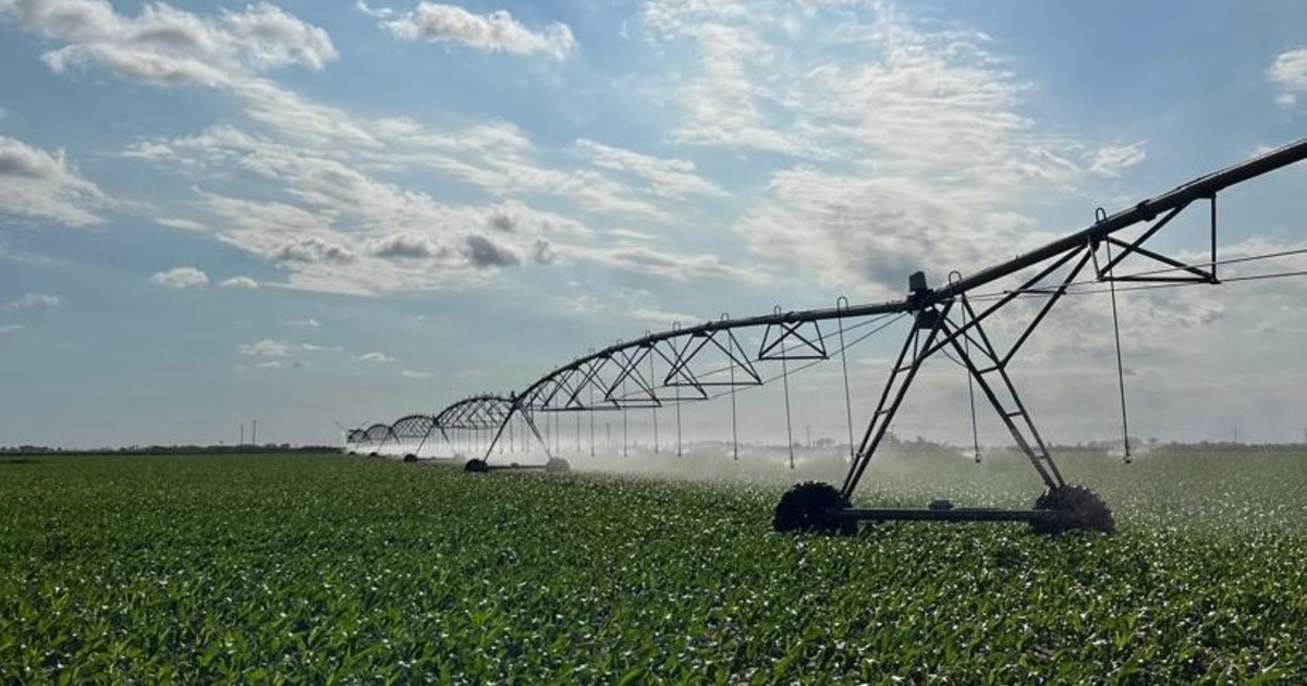 el gobierno incluyó un régimen de incentivo a las inversiones para el campo en la reforma laboral