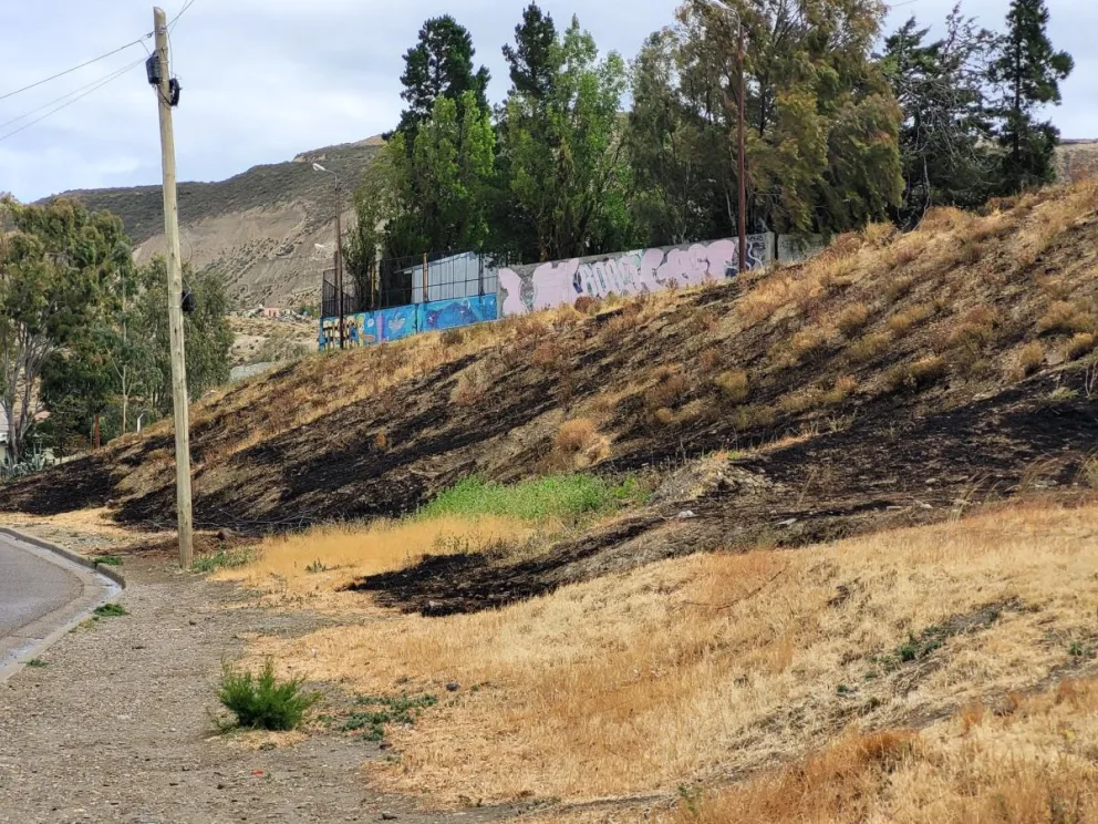 Incendios en Comodoro: “Creemos que este verano va a ser muy complicado”