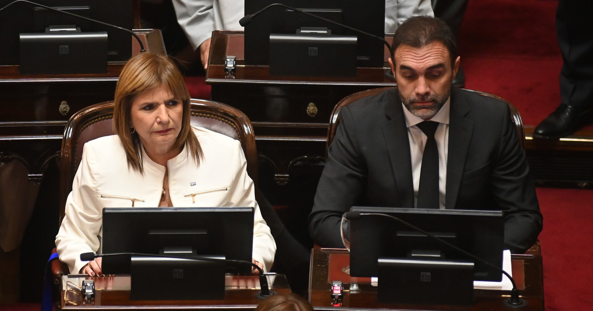 Presión de Patricia Bullrich para tratar el proyecto en el Senado