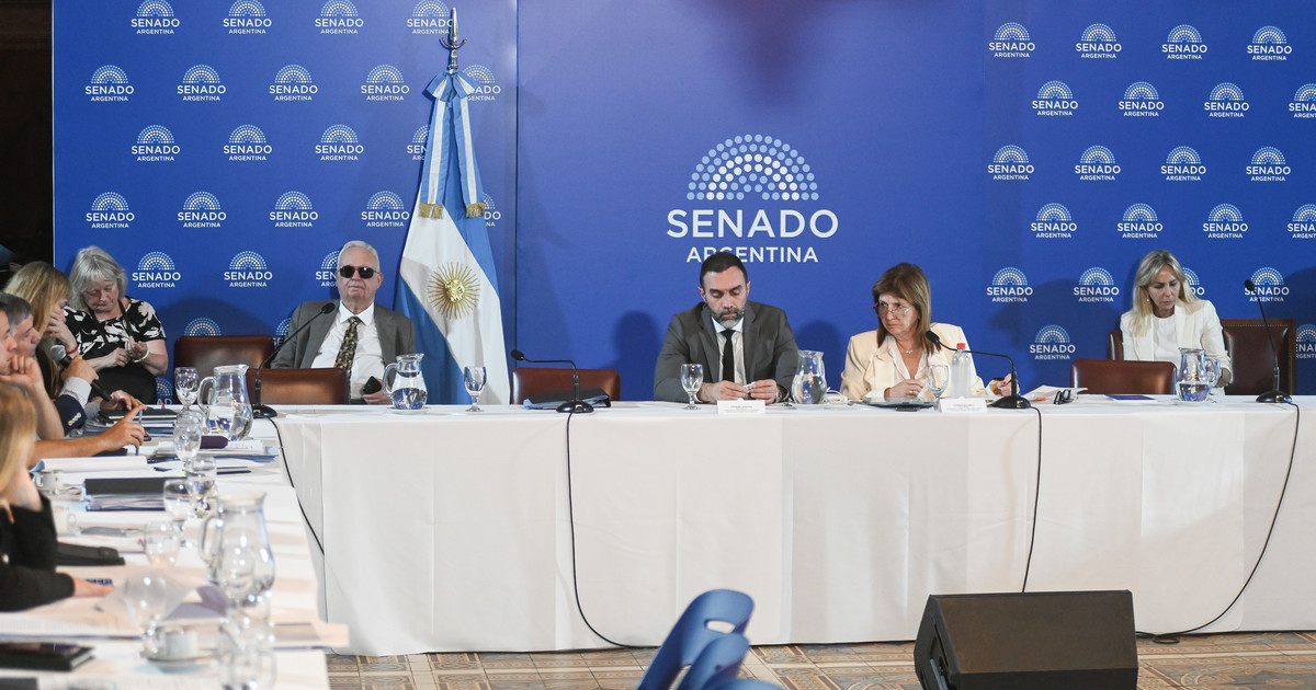 tras el dictamen por la reforma laboral, el Senado debate hoy en comisión el Presupuesto 2026