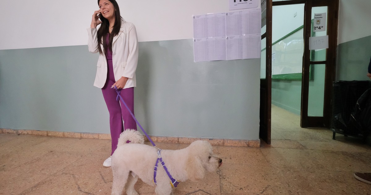 una senadora libertaria quiso caranchear un despacho y la pescaron