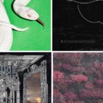 Un año emocionante: ¡Nada aburrido!