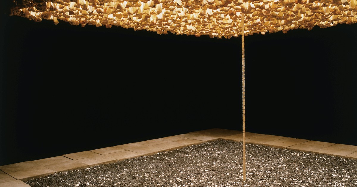 Eduardo Costantini suma la Colección Daros y duplica al Malba