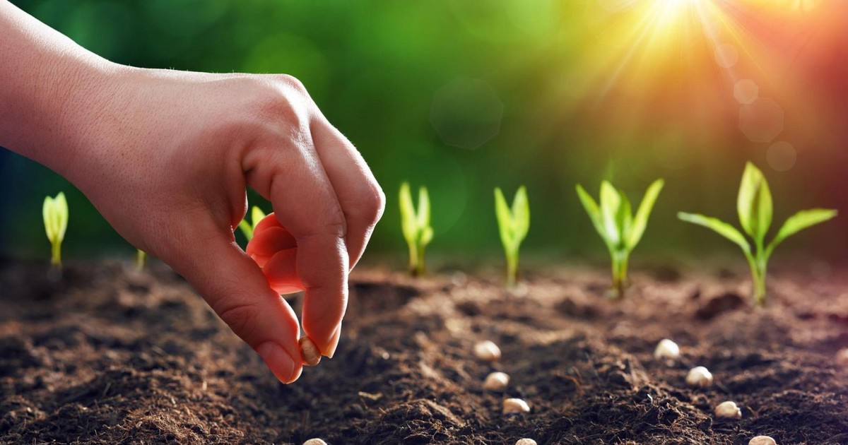 Utilice este título  Bonos de carbono, otra industria sin humo que comienza a traer dólares y cree en base a ese titulo original un titulo nuevo, preciso, comprensible y que no pierda relacion con el titulo original. Necesito que me devuelvas solo y nada mas que el titulo nuevo.