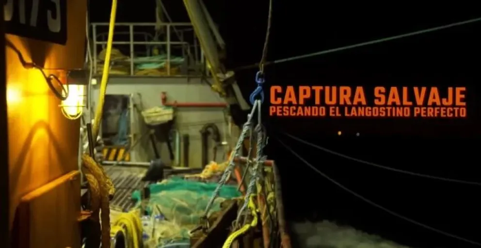 “Captura Salvaje” pone al langostino argentino en las pantallas del mundo con una serie que muestra su captura