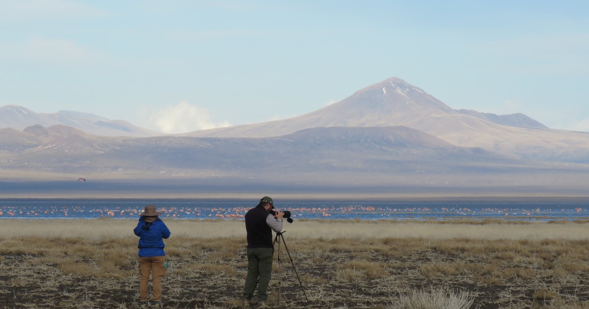 Utilice este título El tesoro natural de Mendoza que acaba de obtener un importante reconocimiento internacional y cree en base a ese titulo original un titulo nuevo, preciso, comprensible y que no pierda relacion con el titulo original. Necesito que me devuelvas solo y nada mas que el titulo nuevo.