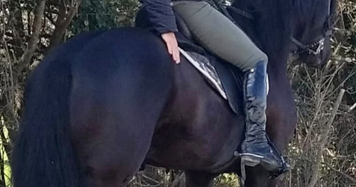 Utilice este título  En un operativo nocturno, Toviggino sacó los caballos de la mansión de Pilar para llevarlos a la casona de un jefe del PJ y cree en base a ese titulo original un titulo nuevo, preciso, comprensible y que no pierda relacion con el titulo original. Necesito que me devuelvas solo y nada mas que el titulo nuevo.