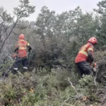 Incendio “Puerto Café” en Los Alerces: continúa activo pero sin afectar el ejido de Esquel