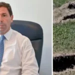 "La naturaleza nos hizo mucho daño, pero nos volveremos a recuperar"