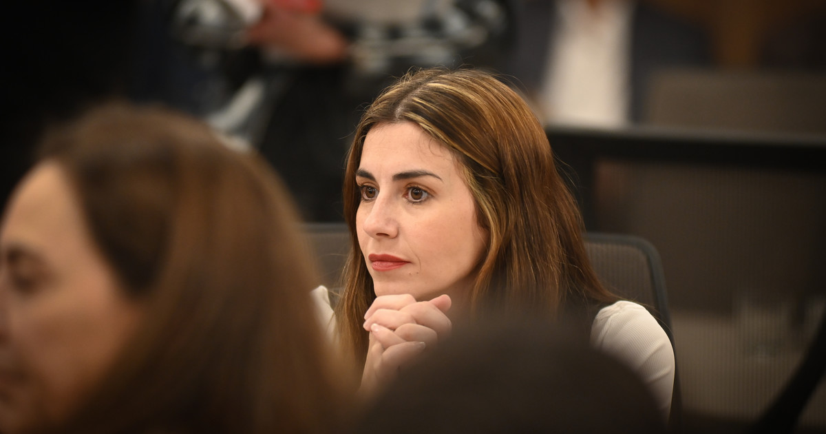 Marcela Pagano terminó formando un monobloque en Diputados
