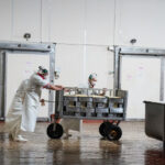 Utilice este título cuántos pagan por año y qué cambios hubo en 2025 y cree en base a ese titulo original un titulo nuevo, preciso, comprensible y que no pierda relacion con el titulo original. Necesito que me devuelvas solo y nada mas que el titulo nuevo.