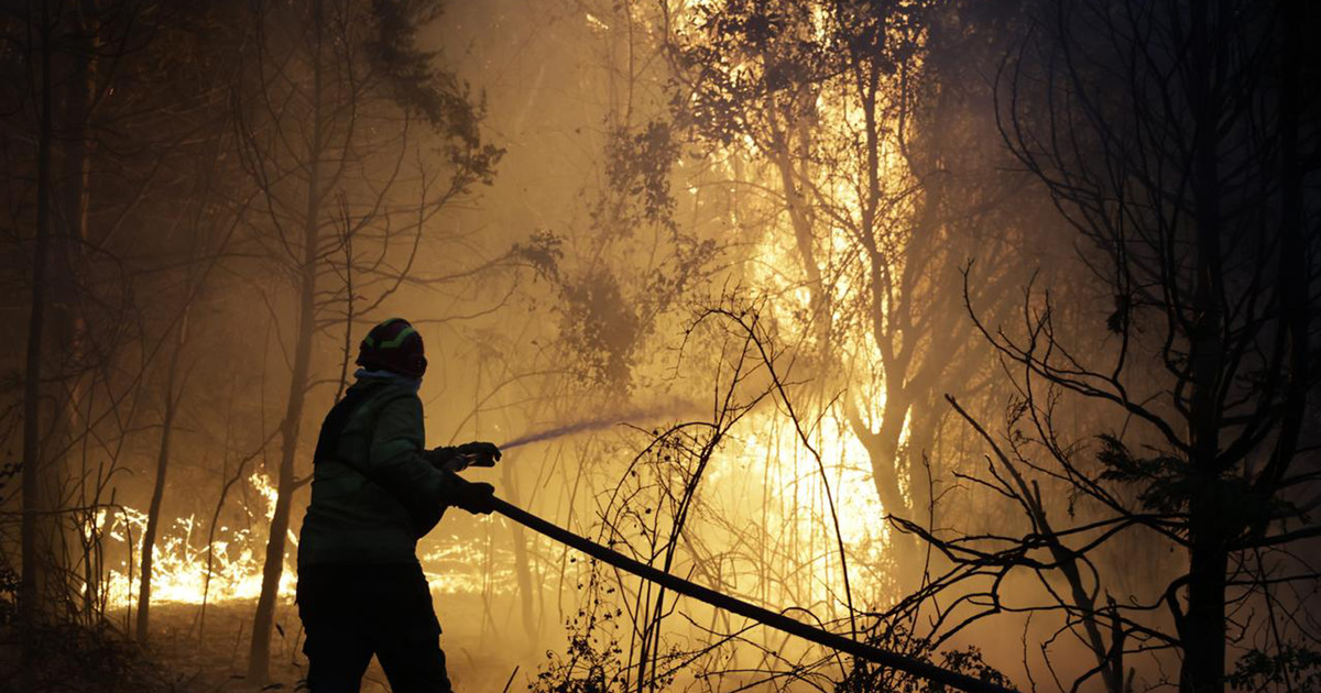 el testimonio clave de un testigo y el desalentador pronóstico para el fin de semana