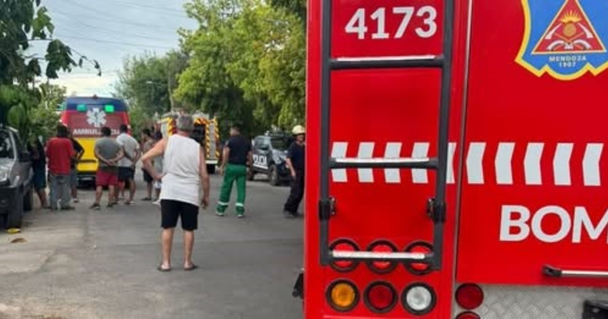 se tiró a un canal para salvar a su hermano de 5 años, quedó 10 minutos bajo el agua y lograron reanimarlo